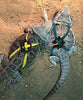 Vehomy - Correa para tortuga, diseño de lagarto - BESTMASCOTA.COM