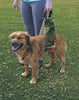 All Seasons Arnés elevador para perro para cirugía postoperatoria de piernas débiles traseras - BESTMASCOTA.COM