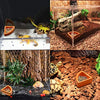 Bowls Gecko Feeding Ledge, Reptile Suction Cup Food Dish for Snakes Lizards Spiders Chameleons Corn Snakes Iguanas Reptiles - BESTMASCOTA.COM