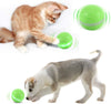 Versión mejorada 2.0: bolas blinkbrione para gatos y perros, enrollado automático/apagado automático, recargable por USB, pelota de juguete interactiva inteligente para gatitos, gatitos, cachorros con luces LED RGB, resistente al agua - BESTMASCOTA.COM