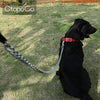 CtopoGo - Correa de metal para perro con asa acolchada para perros grandes y medianos - BESTMASCOTA.COM