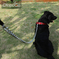 CtopoGo - Correa de metal para perro con asa acolchada para perros grandes y medianos - BESTMASCOTA.COM