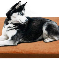 JoicyCo - Colchón ortopédico para cama de perro, lavable, antideslizante, con funda extraíble - BESTMASCOTA.COM