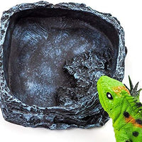 OMEM Reptile - Plato de comida y agua (resina) - BESTMASCOTA.COM