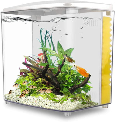 YCTECH kit de iniciación de acuario de 1,4 galones Betta Fish Tank Goldfish Tank con luz LED y bomba de filtro blanco y negro - BESTMASCOTA.COM