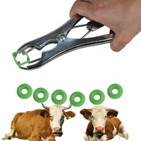 Cxgoods - Pinzas de castración para ganado, oveja, cabra, con 100 anillas de castración, herramienta de castración para animales - BESTMASCOTA.COM