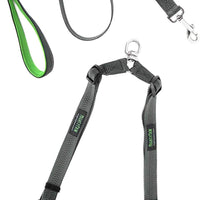 Mighty Paw - Correa doble para perro, longitud ajustable de dos perros, calidad prémium sin enredos, para 2 perros - BESTMASCOTA.COM