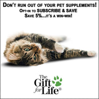 El regalo para la vida para gatos – The Fountain of Youth para Pets – 60 Gourmet Chewable Treats – fabricado en los Estados Unidos - BESTMASCOTA.COM