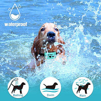 Collar para perro sin ladridos con detección inteligente de vibración y golpes inofensivos – Dispositivo recargable antiladridos para perros pequeños, medianos y grandes - BESTMASCOTA.COM
