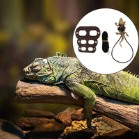 Bigbigjk - Juego de 2 correas de dragón (S, M, L, 2 unidades), arnés de dragón con barba, arnés ajustable para reptiles con correa de lagarto, anfibios de correa de gecko, correas para mascotas de animales pequeños (3 tamaños) - BESTMASCOTA.COM