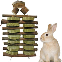 Juguetes de masticación para dientes, palitos de madera de manzana orgánica para conejos, conejos, chinchilla, cobayas, hámsteres, loros y otros animales pequeños para masticar/jugar. Juguetes de aperitivos para mascotas con pasta. - BESTMASCOTA.COM