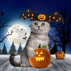 Idepet - Disfraz de Halloween para perro, 8 alas de araña, color morado, para cachorros - BESTMASCOTA.COM