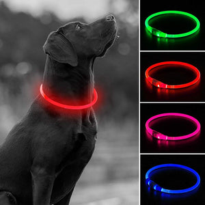 Collar de perro recargable por USB, LED, brilla en la oscuridad, collar para mascotas, resistente al agua, cortable, de TPU, para perros pequeños, medianos y grandes - BESTMASCOTA.COM