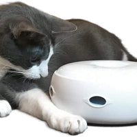 PetFusion Ambush Juguete interactivo para gato con pluma giratoria electrónica. (Modos inteligentes, luz nocturna, pilas incluidas). - BESTMASCOTA.COM
