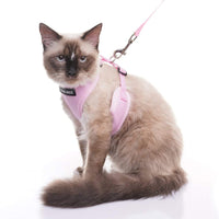 Arnés para gatos a prueba de fugas con correa EXPAWLORER - Arnés de seguridad para gatos y perros pequeños para caminar al aire libre - BESTMASCOTA.COM