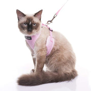 Arnés para gatos a prueba de fugas con correa EXPAWLORER - Arnés de seguridad para gatos y perros pequeños para caminar al aire libre - BESTMASCOTA.COM
