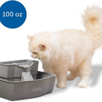 Bebedero PetSafe fuente de agua de varios niveles para mascotas - BESTMASCOTA.COM