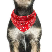 Pawchie Bandanas para perro, pequeñas, 4 unidades, 8 estilos, pañuelos triangulares para mascotas, ajustables con dos broches, juego de pañuelos para perros, cachorros y gatos - BESTMASCOTA.COM