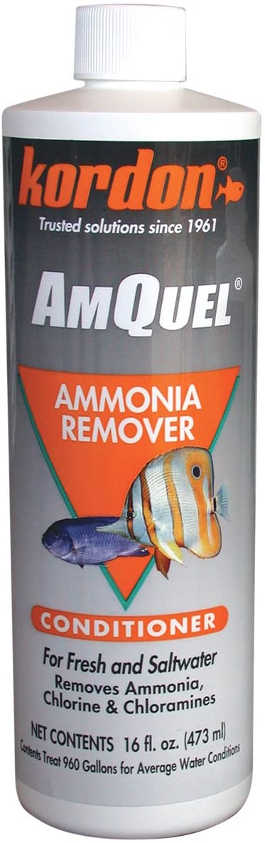 Kordon # 31256 amquel- Amoniaco desintoxicante para Acuario, 16-ounce - BESTMASCOTA.COM