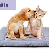 PETSGO - Juego de cama para perros y gatos (1 en altura) - BESTMASCOTA.COM
