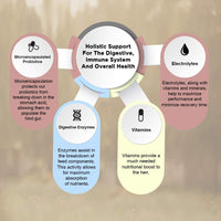 Equerry Huevo Boost de, 8 oz - BESTMASCOTA.COM