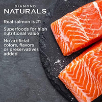 Diamond Naturals Skin & Coat Real Meat Recipe Dry Dog Food with Wild Caught Salmon - BESTMASCOTA.COM