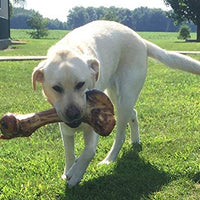 K9 Connoisseur huesos de perro de un solo ingrediente hechos en Estados Unidos para masticadores agresivos de raza grande, todos naturales, de larga duración, con relleno de médula carnosa, mejor para perros de más de 50 libras - BESTMASCOTA.COM