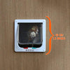 PetsN'all 4-Way Locking Pet Door Cats and Small Dogs Indoor/Outdoor with Telescopic Frame - BESTMASCOTA.COM