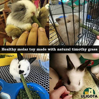 ULIGOTA Timothy - Palos de hámster para masticar hámster - BESTMASCOTA.COM