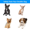 eXuby Collar de Golpe para Perros Pequeños con Mando a Distancia - Incluye 2 Collares (Pequeño y Mediano) + Entrenamiento Gratis Clicker Perro - 3 Modos (Sonido, vibración y Golpeo) - Ahorra dinero con Baterías Recargables - BESTMASCOTA.COM