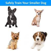 eXuby Collar de Golpe para Perros Pequeños con Mando a Distancia - Incluye 2 Collares (Pequeño y Mediano) + Entrenamiento Gratis Clicker Perro - 3 Modos (Sonido, vibración y Golpeo) - Ahorra dinero con Baterías Recargables - BESTMASCOTA.COM