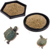 Tfwadmx Reptile plato de alimentación, tortuga alimentador de alimentos recipiente de agua con pinzas para dragón barbudo serpiente lagarto - BESTMASCOTA.COM