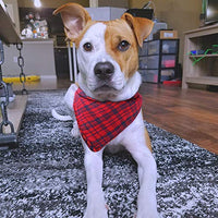 Segarty Bandana para perro, bufandas para cachorros pequeños, medianos, grandes, a cuadros, reversibles, para mascotas, bandanas, accesorios, juego de pañuelos triangulares - BESTMASCOTA.COM