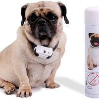 Collar de corteza de perro, Jing Cheng, compacto, antiladridos para perro, con detección de ladridos automáticos, sensibilidad ajustable, humano, recargable e impermeable para perros pequeños y medianos y grandes - BESTMASCOTA.COM