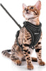 SCIROKKO Arnés y correa para gatos – Arnés ajustable a prueba de escape para cachorro para exteriores con correa reflectante 3M, malla suave con clip de metal chaqueta caminante para gatito conejo - BESTMASCOTA.COM