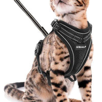 SCIROKKO Arnés y correa para gatos – Arnés ajustable a prueba de escape para cachorro para exteriores con correa reflectante 3M, malla suave con clip de metal chaqueta caminante para gatito conejo - BESTMASCOTA.COM