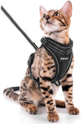 SCIROKKO Arnés y correa para gatos – Arnés ajustable a prueba de escape para cachorro para exteriores con correa reflectante 3M, malla suave con clip de metal chaqueta caminante para gatito conejo - BESTMASCOTA.COM