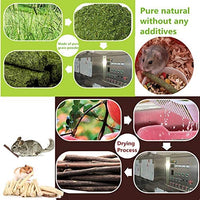 Dbeans Flourithing 3 tipos de juguetes combinados para masticar palos molar dulce de bambú de manzana rama Timothy hierba para mascotas Chinchilla ardilla gerbil hámster ardilla cobayas - BESTMASCOTA.COM