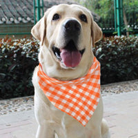 Lee-buty - Juego de 15 bandanas para perro, pañuelo para perro, baberos lavables para niña, niño, perro, bandanas de algodón a cuadros, bandanas para perros al aire libre, accesorios para perros pequeños, medianos, grandes, gatos y mascotas - BESTMASCOTA.COM