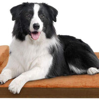 JoicyCo - Cama grande para perros, para perros grandes, camas de espuma antideslizante, con funda lavable - BESTMASCOTA.COM