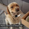 Juguete para perro de Nocciola, sin relleno, juguete para perro de felpa chirriante, duradero, sin relleno, juguete para masticar para perros medianos y grandes, paquete de 5 - BESTMASCOTA.COM
