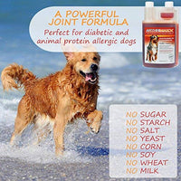 ArthriMAXX Joint Supplement and Wellness Support for Dogs and Cats - BESTMASCOTA.COM