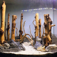 emours Decoración Bosque Natural de reptil rama terrario Acuario Ornamento de madera, 4 unidades) - BESTMASCOTA.COM