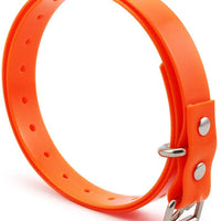 Reemplazo Extra Tpu correa de cuello correa de hebilla de 1" para Garmin Delta Dogtra Sportdog Tri Tronics PetSafe trainpro Petrainer educador Esky más collares de adiestramiento de perros/ladridos/Valla - BESTMASCOTA.COM