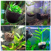 Capetsma 2 macetas de cristal acuáticas, macetas acuáticas, macetas acuáticas, macetas de acuario, camarón rojo, vitrinas de peces, portavasos de cristal con 4 ventosas para decoración de acuario, acuario ... - BESTMASCOTA.COM