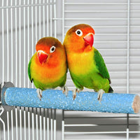 Colorful Bird Perch Stand Platform Natural Wood Playground Paw Grinding Clean for Pet Parrot Budgies Parakeet Cockatiels Conure Lovebirds Rat Mouse Cage Accessories Exercise Toys (4 Color) - BESTMASCOTA.COM