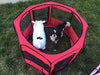 ToysOpoly, jaula de 45 pulgadas interior/exterior, corralito para animal doméstico La mejor perrera de ejercicio para tu perro, gato, conejo, perrito, hámster o conejillo de Indias Pluma portable para un fácil trazado - BESTMASCOTA.COM