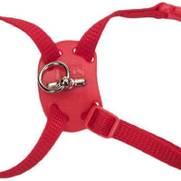 Coastal Pet Size Right! Adjustable Cat Harness - BESTMASCOTA.COM