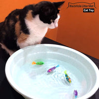 BlackHole - Alfombrilla interactiva para gato o perro con luz LED (4 unidades), juguete para gatos y perros para estimular los instintos de caza de tu mascota - BESTMASCOTA.COM