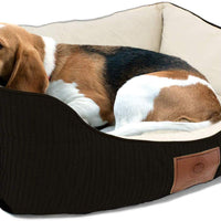 American Kennel Club - BESTMASCOTA.COM